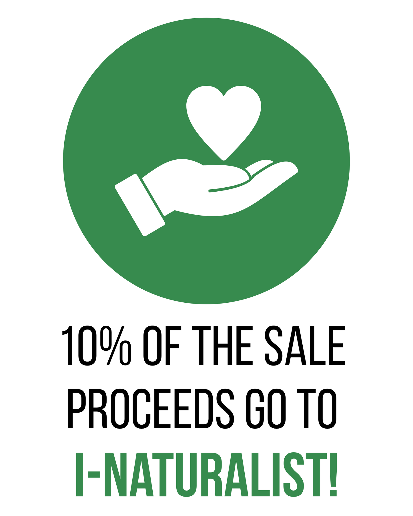 All Things Fungi 2025 Collaborator T Shirt (Pre-Sale)