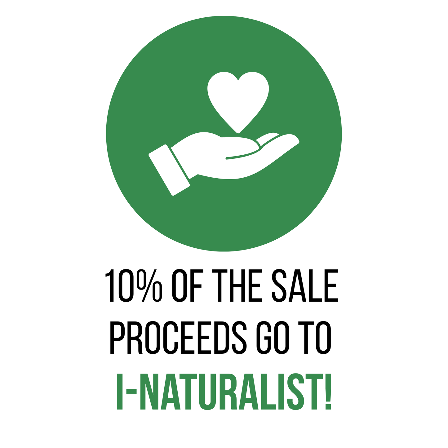 All Things Fungi 2025 Festival Long sleeve T shirt